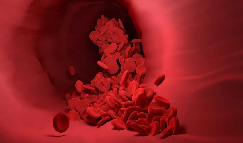 It helps fight different illnesses