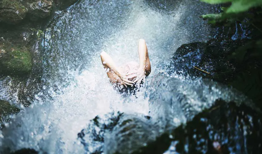 removes waste from the body