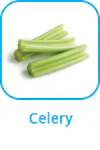 celery