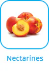 nectarines