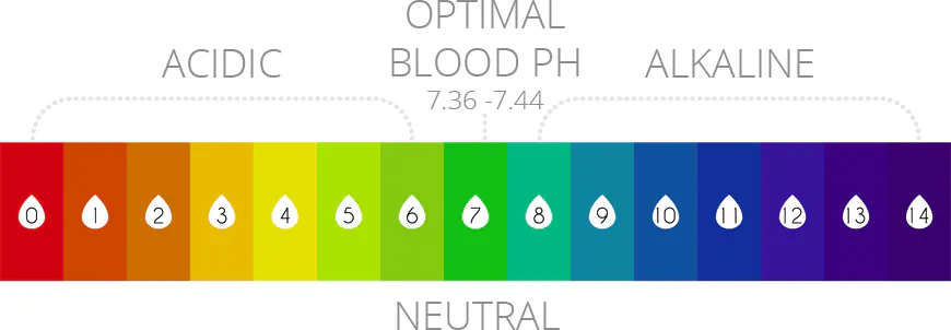 acidic vs alkaline ph-chart