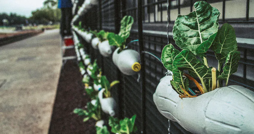 agriculture ruse bottles