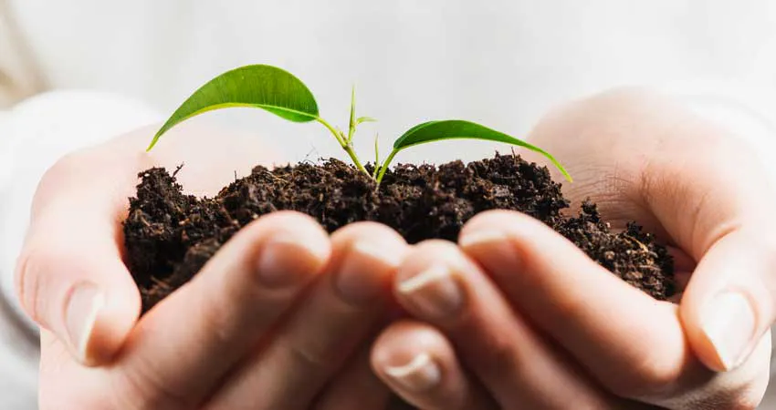 helps the environment