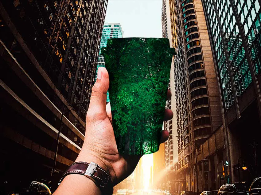 reusable cup for environment