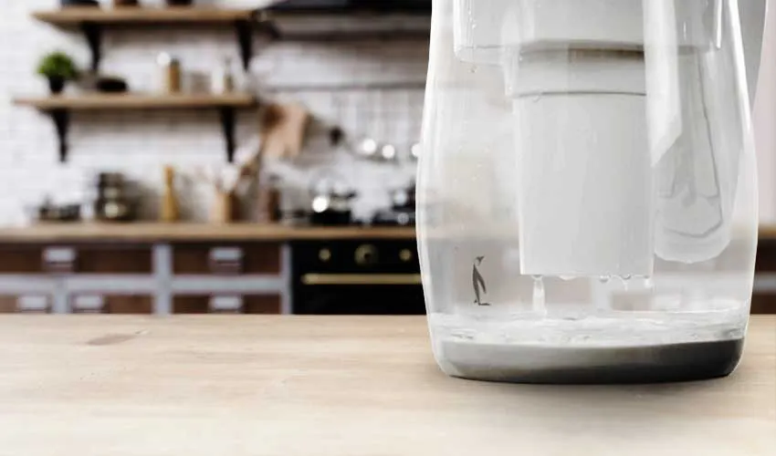 gentoo water filtration