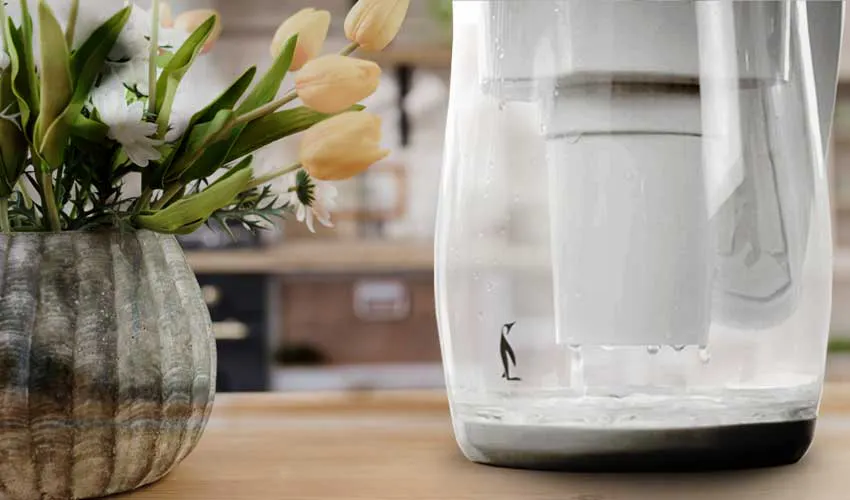 gentoo water filtration