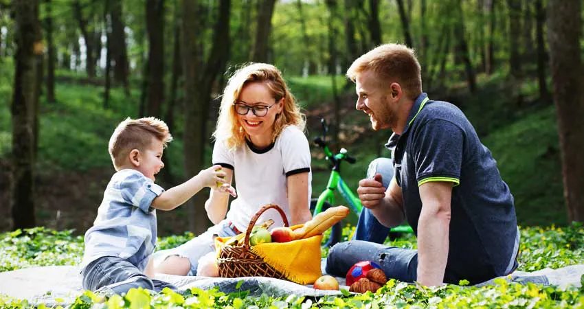 picnic at park