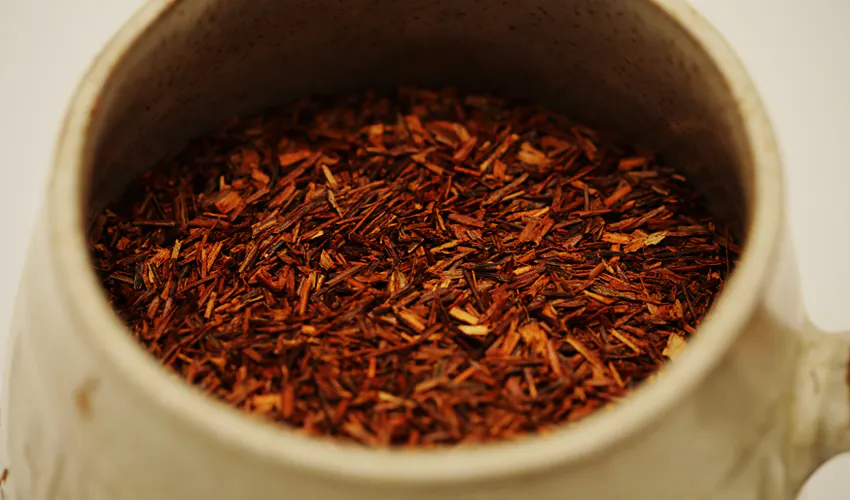 rooibos tea