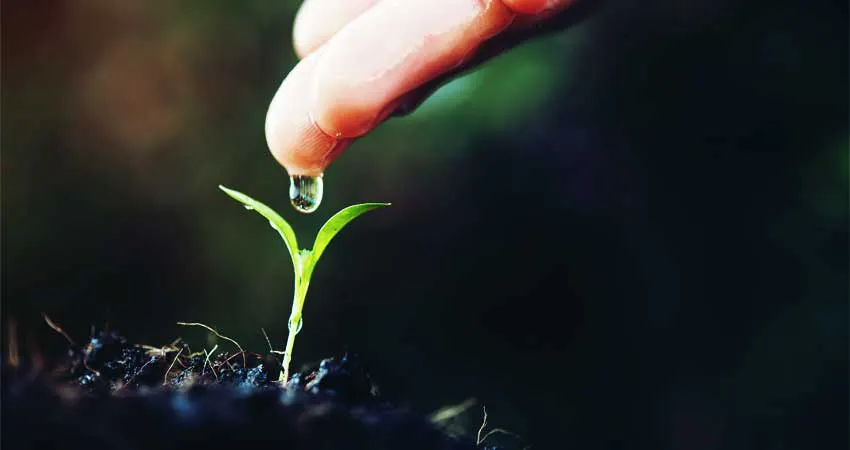 better for the environments