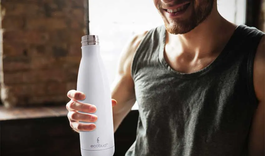 500mL Insulated Stainless Steel Water Bottle