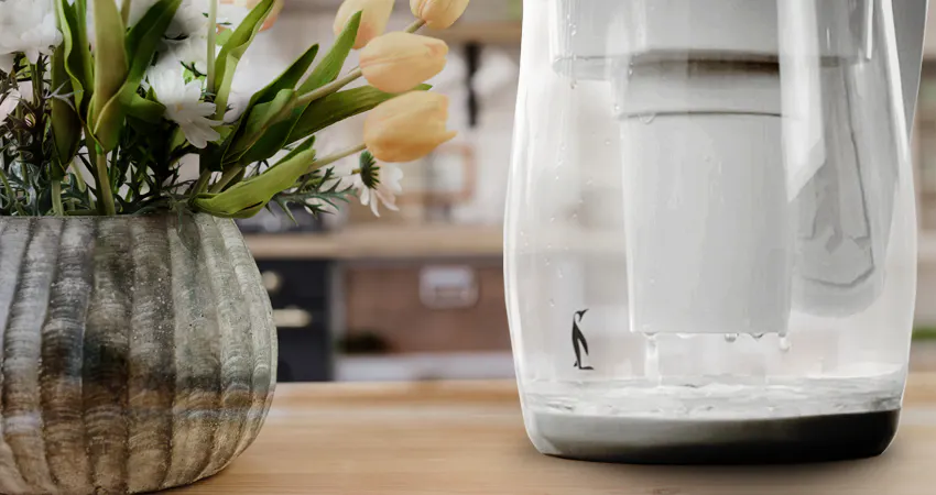 water filter jug