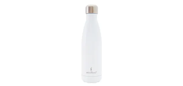 Insulated Stainless Steel Water Bottle - White